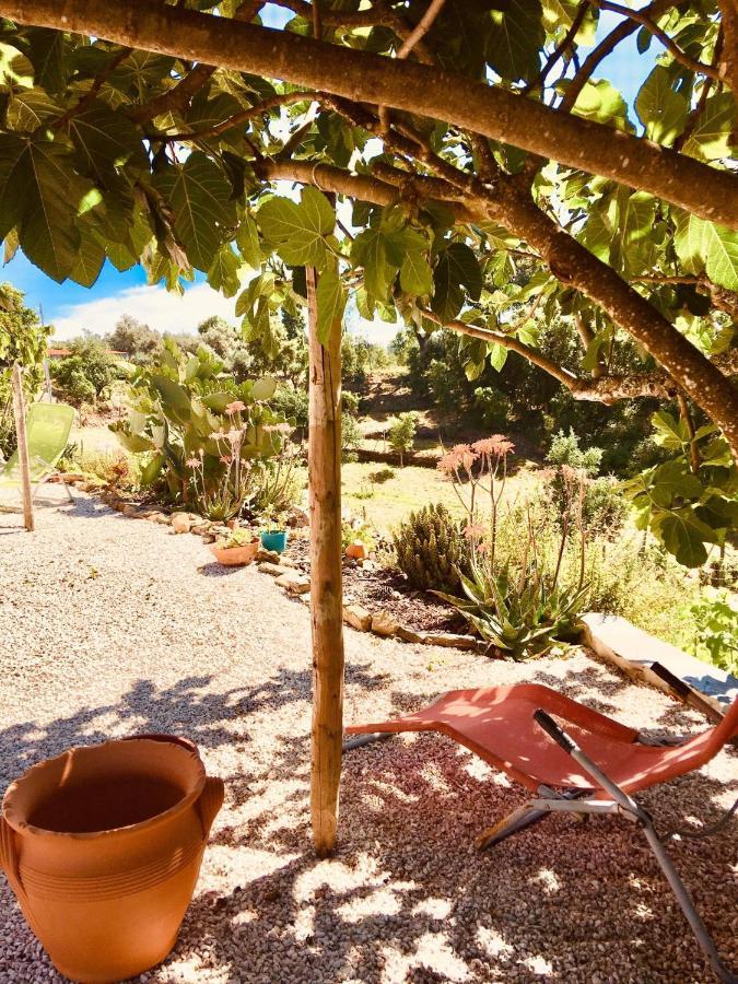 Quinta Quatro Ventos Bed & Breakfast Serta Exterior photo